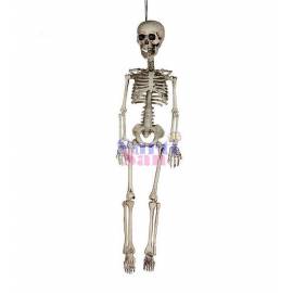 Figura esqueleto 60 cms